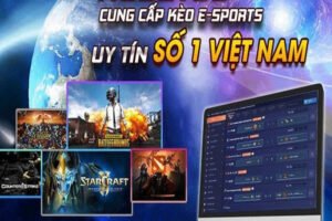 Tìm hiểu tổng quan về thể thao điện tử Kubet